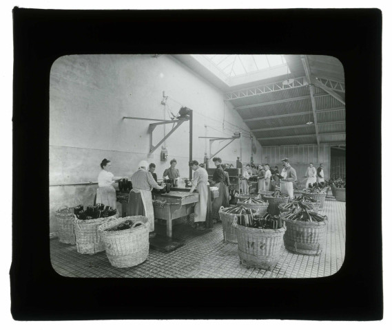 Rinçage des bouteilles / Fs Rothier