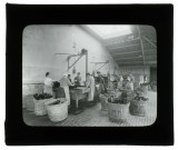 Rinçage des bouteilles / Fs Rothier