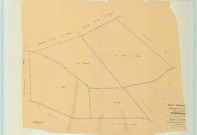 Saint-Thierry (51518). Section X1 échelle 1/2000, plan remembré pour 1955, plan régulier (papier).