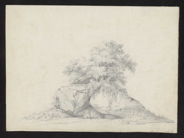 Rochers et arbres