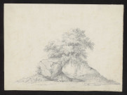 Rochers et arbres