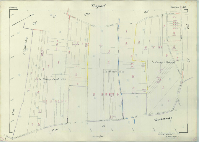 Trépail (51580). Section AM échelle 1/1000, plan renouvelé pour 1965, plan régulier (papier armé).