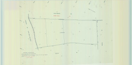 Somme-Vesle (51548). Section ZT échelle 1/2000, plan remembré pour 1980 ( changement intercommunal entre Somme-Vesle et Tilloy-Bellay), plan régulier (calque)