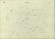 Ambonnay (51007). Section AM échelle 1/1000, plan renouvelé pour 1965, plan régulier (papier armé).