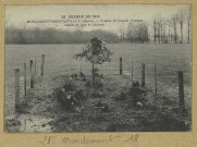 MONDEMENT-MONTGIVROUX. -38-Guerre de 1914. Mondement-Mongivraux. Tombes de soldats français situées en face du château.