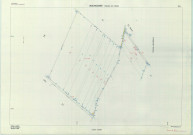 Bourgogne-Fresne (51075). Section ZN 2 échelle 1/2000, plan remembré pour 1982, contient une extension sur 261 Z, plan régulier de qualité P5 (papier armé).