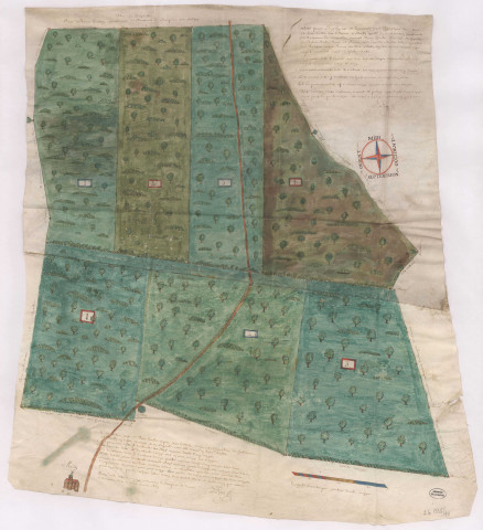 Carte du bois du Grand Buisson divisé en plusieurs ventes sur le terroir de Mailly-Champagne (1667), Lajoye
