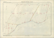 Bignicourt-sur-Saulx (51060). Section ZC échelle 1/2000, plan remembré pour 1973, plan régulier (papier armé)