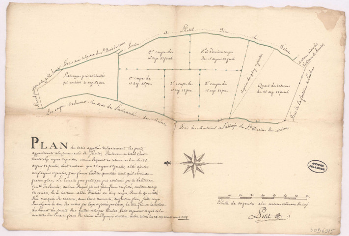 Plan du bois dit les Parts appartenant à la communauté de Sermiers (mars 1764), Nicolas Petit
