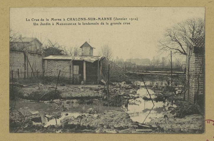 CHÂLONS-EN-CHAMPAGNE. La crue de la Marne à Châlons-sur-Marne (janvier 1910). Un jardin à Madagascar le lendemain de la grande crue.