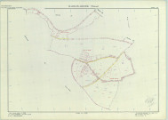 Villers-en-Argonne (51632). Section ZH échelle 1/2000, plan remembré pour 1988, plan régulier (papier armé)