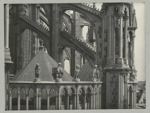 REIMS. Cathédrale de Reims. Les statues représentants des animaux de l'abside sud, vues de face.