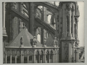 REIMS. Cathédrale de Reims. Les statues représentants des animaux de l'abside sud, vues de face.