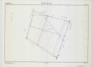 Reims (51454). Section ZM échelle 1/2000, plan remembré pour 1999, plan régulier de qualité P5 (calque).