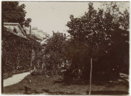 Photographie de famille (jardin)