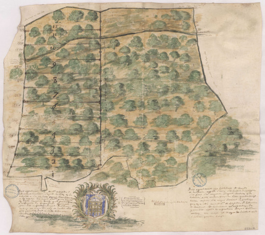 Plans des bois du chapitre et de la communauté de Trepaille n°26, 1680-1685