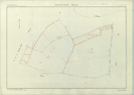 Rapsécourt (51452). Section ZA échelle 1/2000, plan remembré pour 1980 (extension sur Voilemont section ZI), plan régulier (papier armé)