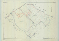 Saint-Remy-en-Bouzemont-Saint-Genest-et-Isson (51513). Section ZC échelle 1/2000, plan remembré pour 1985, plan régulier (calque)