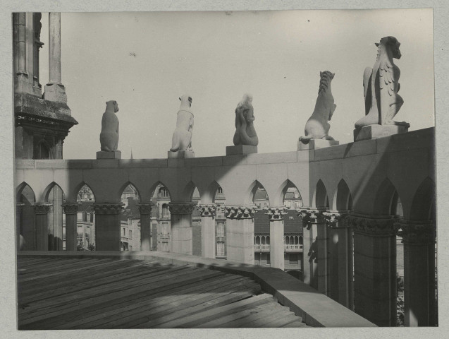 REIMS. Cathédrale de Reims. Les statues représentants des animaux de l'abside sud, vues de dos.