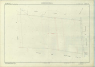 Vaudemange (51599). Section ZM échelle 1/2000, plan remembré pour 1966 (extension sur Les Grandes-Loges section ZB), plan régulier (papier armé)