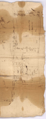 Plan minute de la partie de la forest de Brugny du lot de Dieudonné, 1760