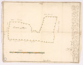 Plan d'une pièce de bois taillis et futaye dépendant de labbaye St Pierre davenay apellé Leloret, 1722.
