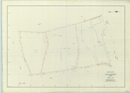 Élise-Daucourt (51228). Section ZD échelle 1/2000, plan remembré pour 1971, plan régulier (papier armé)