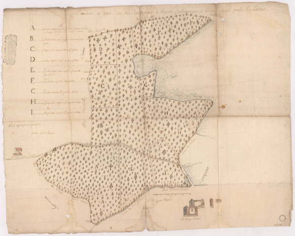 Plan et figure des bois des usages de Huiron Courdemmanges et Glane situés proche de Landres, 1695.