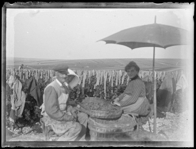 RILLY-LA-MONTAGNE. Vue du vignoble