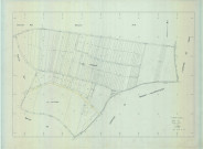 Saint-Martin-d'Ablois (51002). Section AN échelle 1/1000, plan remanié pour 01/01/1987, plan régulier de qualité P4 (calque)