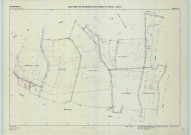 Saint-Remy-en-Bouzemont-Saint-Genest-et-Isson (51513). Section ZM échelle 1/2000, plan remembré pour 1985, plan régulier (calque)
