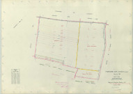 Faux-Vésigneul (51244). Fontaine-sur-Coole (51257). Section ZB échelle 1/2000, plan remembré pour 1967, plan régulier (papier armé)