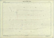 Vanault-les-Dames (51590). Section ZO échelle 1/2000, plan remembré pour 1965, plan régulier (papier armé)