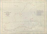 Blaise-sous-Arzillières (51066). Section ZA échelle 1/2000, plan remembré pour 1966 (extension sur Arzillières section ZA), plan régulier (papier armé)