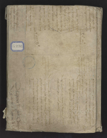 Cartulaire de la Trinité (XIIIe-XVe siècles)