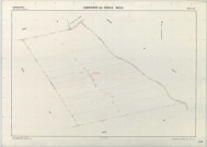 Dampierre-au-Temple (51205). Section ZM2 échelle 1/2000, plan remembré pour 1979, plan régulier (papier armé)