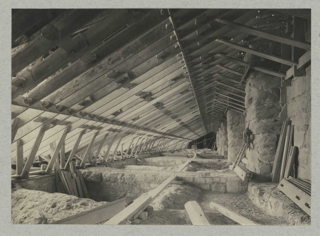 REIMS. Cathédrale de Reims. Charpente du bas-côté nord.