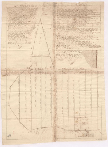 Plan géométral de la division en 16 coupes des bois du Buisson-le-Comte (1632)