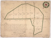 Plan mesurage et divisions d'une pièce de bois appartenant au chapitre de Saint Jean Baptiste de le ville de Vertus appellée le bois Saint Jean, fait par Nicolas Petit, arpenteur, 1759.