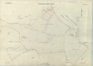 Châtillon-sur-Broué (51135). Section ZB échelle 1/2000, plan remembré pour 1981, plan régulier (papier armé)