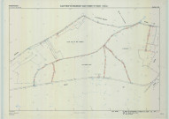 Saint-Remy-en-Bouzemont-Saint-Genest-et-Isson (51513). Section ZB échelle 1/2000, plan remembré pour 1985, plan régulier (calque)