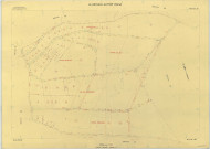 Neuville-au-Pont (La) (51399). Section ZP échelle 1/1000, plan remembré pour 1977, plan régulier (papier armé)