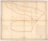 Plan mesurage et division des bois usages appartenant aux habitants de Sermiers et petit Fleury,1786.