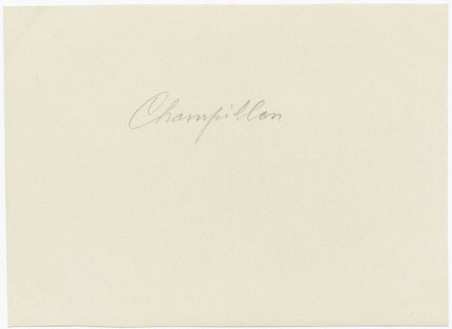 CHAMPILLON. Vue générale