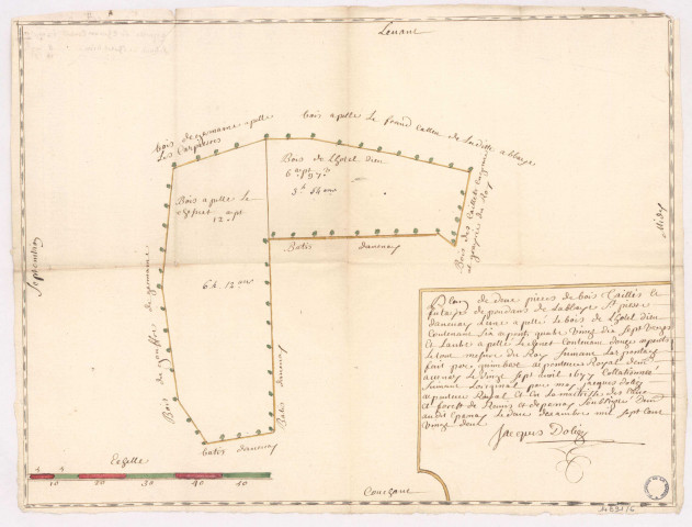 Plan d'une pièce de bois taillis et futaye dependant de l'abbaye St Pierre davenay apellé le bois de l'hotel Dieu et Lechenet, 1722.