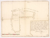 Plan d'une pièce de bois taillis et futaye dependant de l'abbaye St Pierre davenay apellé le bois de l'hotel Dieu et Lechenet, 1722.