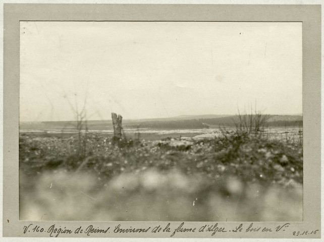 Région de Reims. Sillery. Environs de la ferme d'Alger. Le bois en V., 29 décembre 1916 .