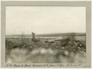 Région de Reims. Sillery. Environs de la ferme d'Alger. Le bois en V., 29 décembre 1916.