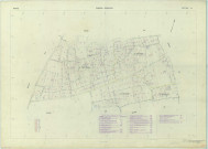 Binson-et-Orquigny (51063). Section AI échelle 1/1000, plan renouvelé pour 1971, plan régulier (papier armé).