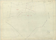 Saint-Amand-sur-Fion (51472). Section ZN échelle 1/2000, plan remembré pour 1982, plan régulier (papier armé)